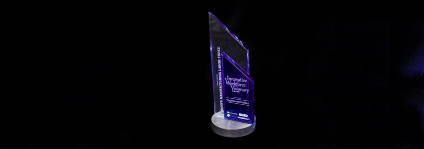 Innovation Workforce Visionary Award