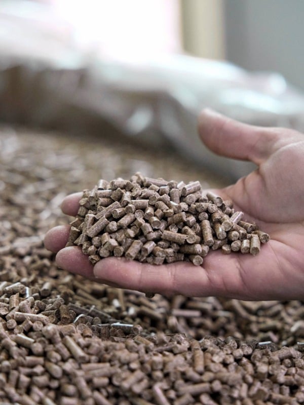 Raw Material Supplier Plastic Pellets